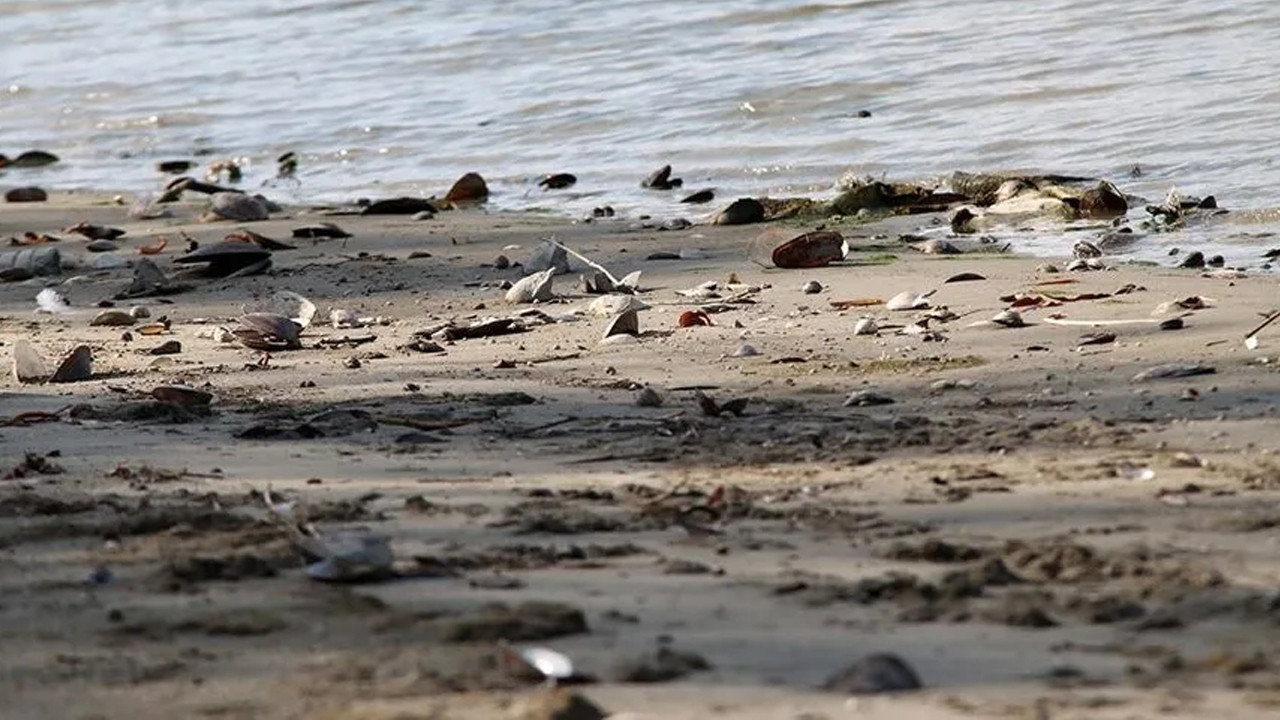 Tuna Nehri’nde kuraklık alarmı: Santral faaliyetlerini durdurdu